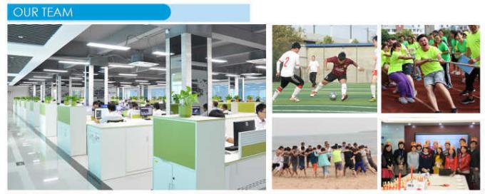 Cuvette saine de conducteur d'aliment pour animaux familiers de fibre en bambou naturelle 5