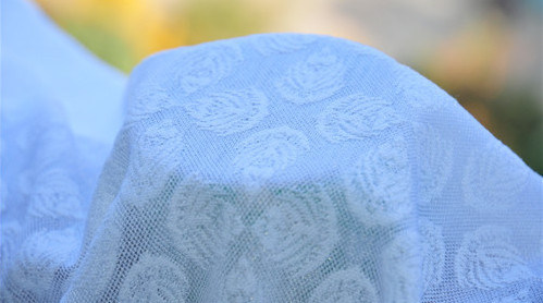 Tissu blanc de robe de mariée de tissu de tapisserie d'ameublement de jacquard 57/58" OEM de marque loyale de largeur