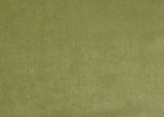 Les vêtements de tissu de velours côtelé de Nyloy étirent le tissu Grey Blue vert de velours côtelé